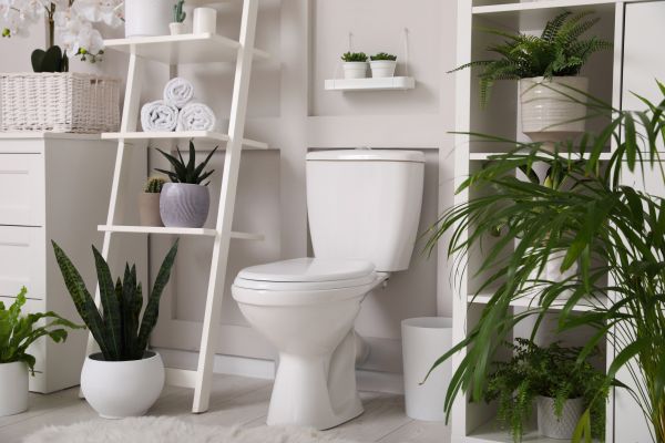 Cost of Toilet Repair in Richmond