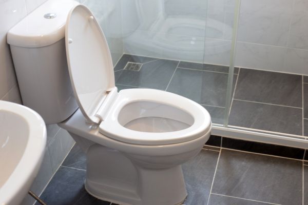Toilet Replacement in Richmond