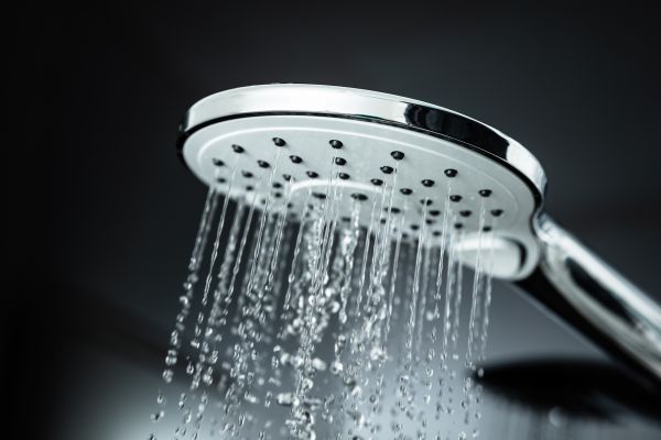 Cost of Shower Head Replacement in Richmond