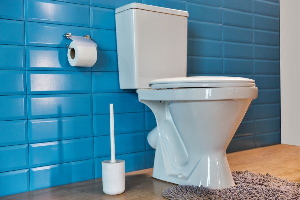 Cost of Toilet Tank Repair in Richmond