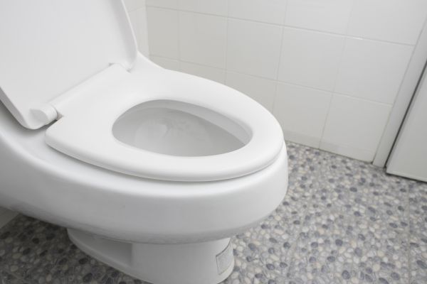 Cost of New Toilet Installation in Richmond